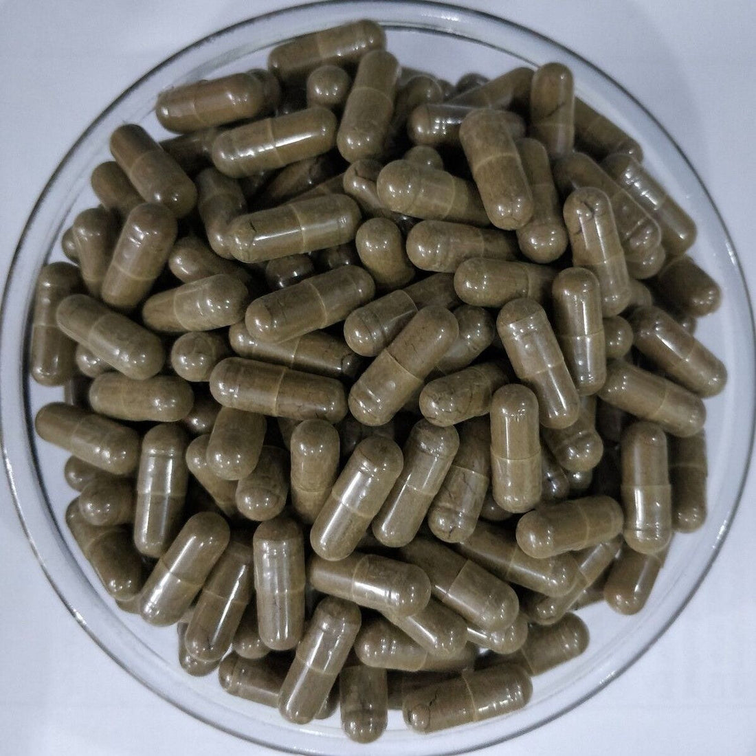 Benefits Of Buchu Capsules - Wholesale B2B Bulk Suppliers