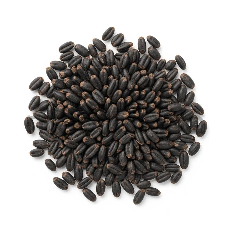 Black Wheat Seeds