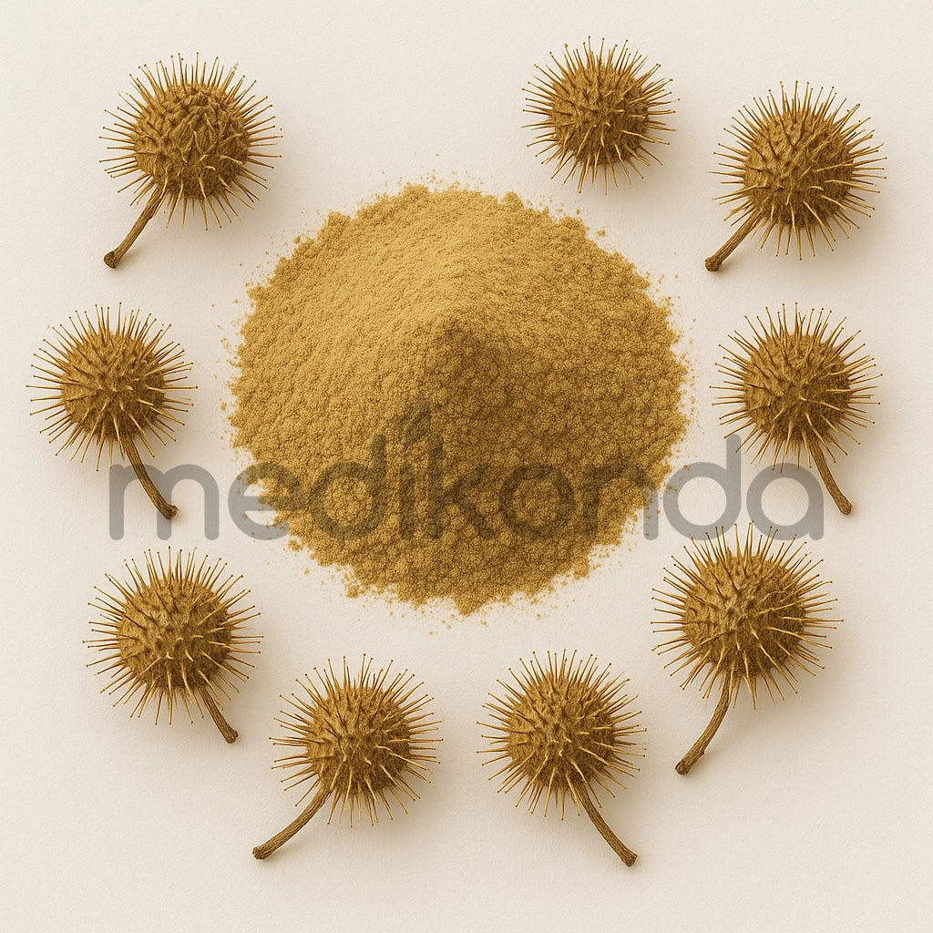 Burdock Fruit Extract Powder