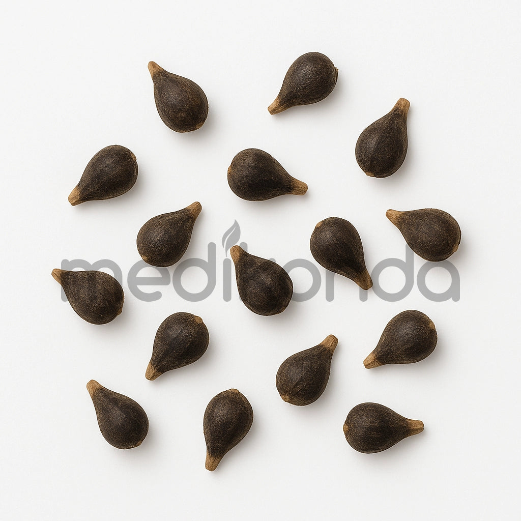 Hawaiian Baby Woodrose Seeds