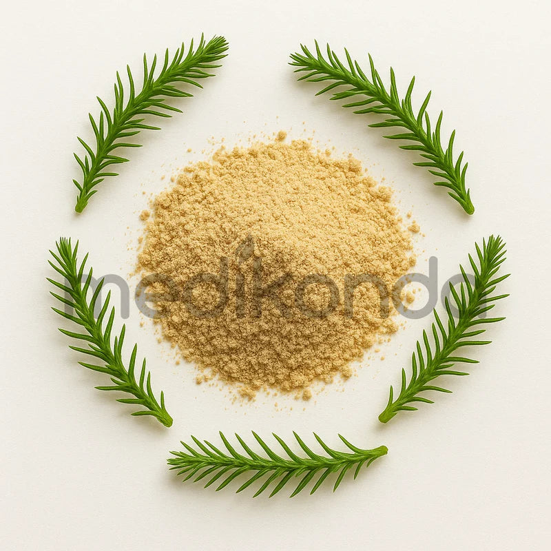 Huperzia Serrata Extract Powder 1% Huperzine-A