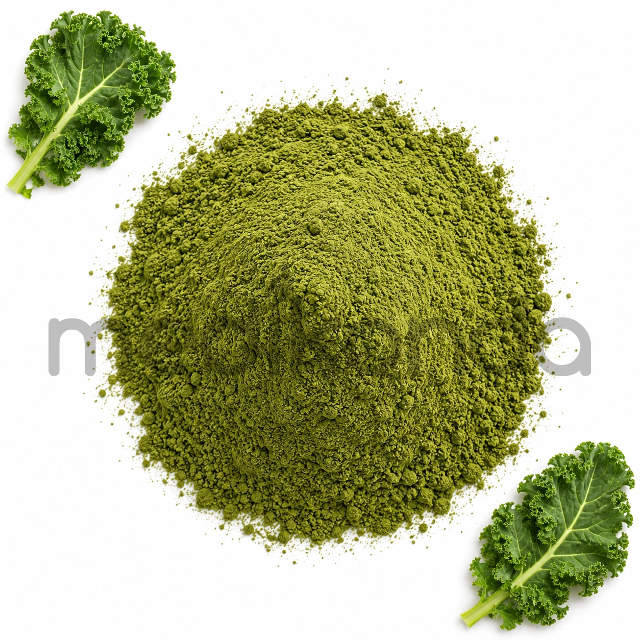 Kale Extract Powder