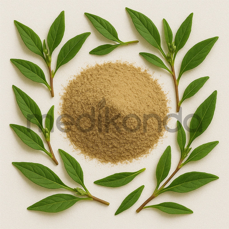 Knotgrass Powder