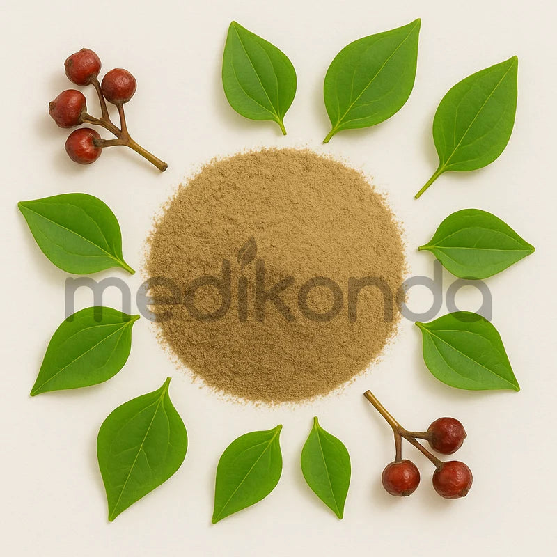 Mexican Sarsaparilla Powder