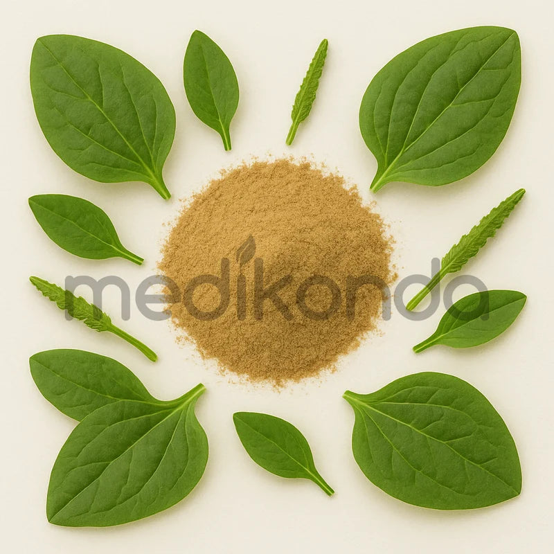 Plantago Major Powder