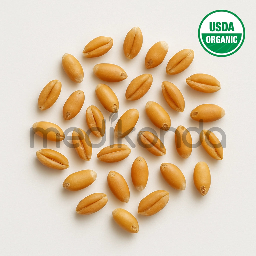 Wheat Seeds