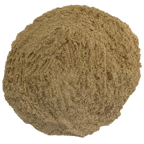 Top Benefits Agaricus Mushroom Powder