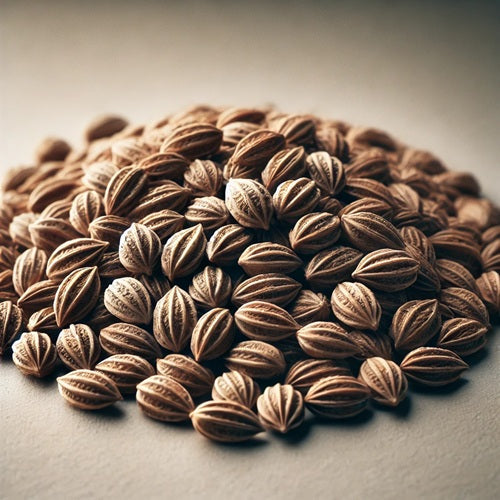Benefits of Ajwain Seeds - Wholesale B2B Bulk Suppliers in Europe