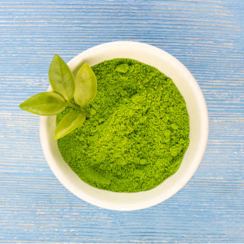 Benefits of Alfalfa Grass Powder - Wholesale B2B Bulk Suppliers