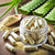 Benefits Of Aloe Vera Extract Capsules - Wholesale B2B Bulk Suppliers
