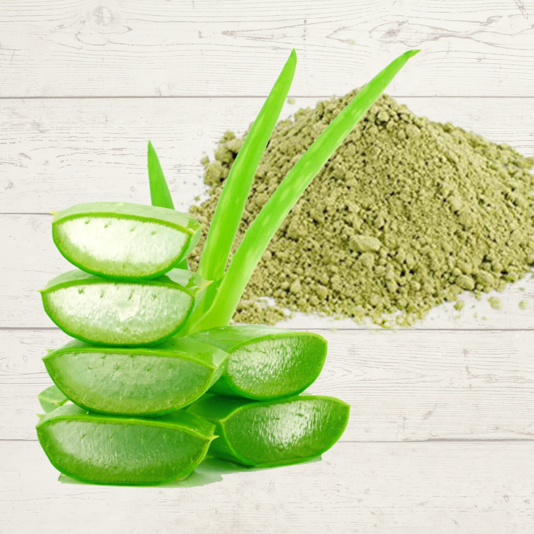 Benefits of Aloe Vera Powder - Wholesale B2B Bulk Suppliers in USA
