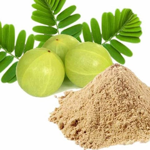Benefits of Amla Extract Powder - Wholesale B2B Bulk Suppliers in Europe