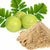 Benefits of Amla Extract Powder - Wholesale B2B Bulk Suppliers in Europe