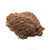 Benefits of Ayahuasca Extract Powder - Wholesale B2B Bulk Suppliers in USA