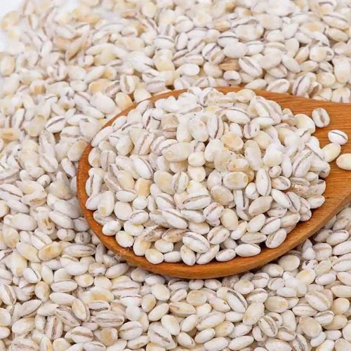 Benefits of Barley Seeds - Wholesale B2B Bulk Suppliers in Europe