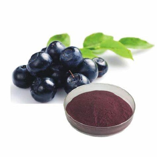 Benefits of Bilberry Extract Powder - Wholesale B2B Bulk Suppliers in USA