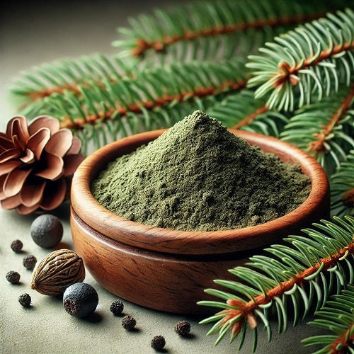 Benefits of Black Spruce Powder - Wholesale B2B Bulk Suppliers
