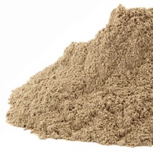 Benefits of Blue Vervain Extract Powder - Wholesale B2B Bulk Suppliers