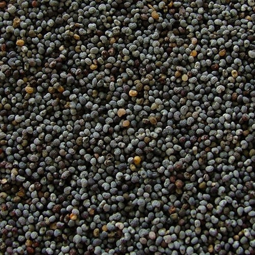 Benefits of Blue Poppy Seeds - Wholesale B2B Bulk Suppliers in Europe