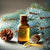 Benefits of Blue Spruce Essential Oil - Wholesale B2B Bulk Suppliers
