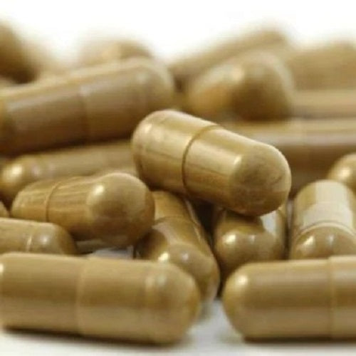 Benefits Of Boldo Capsules - Wholesale B2B Bulk Suppliers