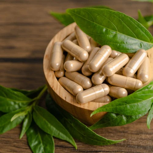 Benefits Of Broccoli Sprout Capsules - Wholesale B2B Bulk Suppliers