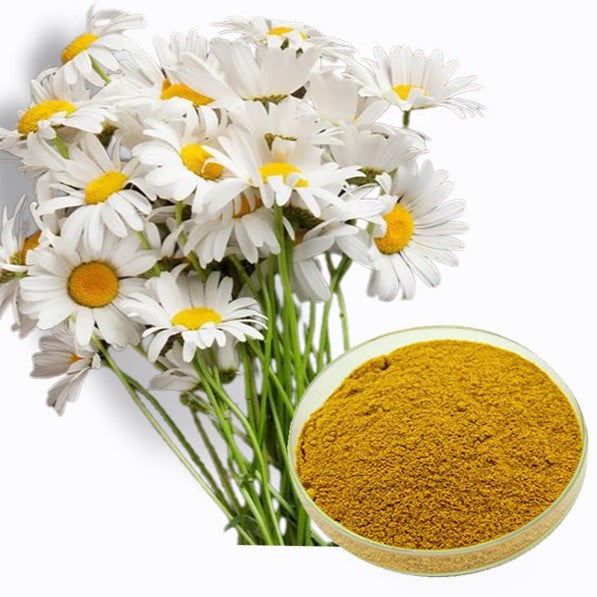 Chamomile Powder Top benefits of Chamomile Powder Medikonda Nutrients