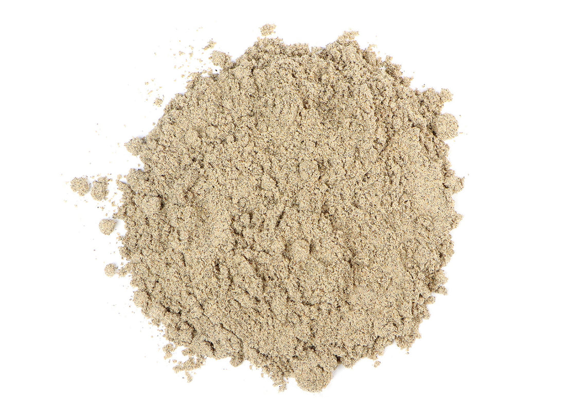 Benefits of Cardamom Powder - Wholesale B2B Bulk Suppliers in USA