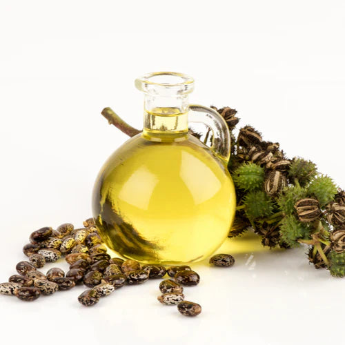 Benefits of Castor Oil - Wholesale B2B Bulk Suppliers