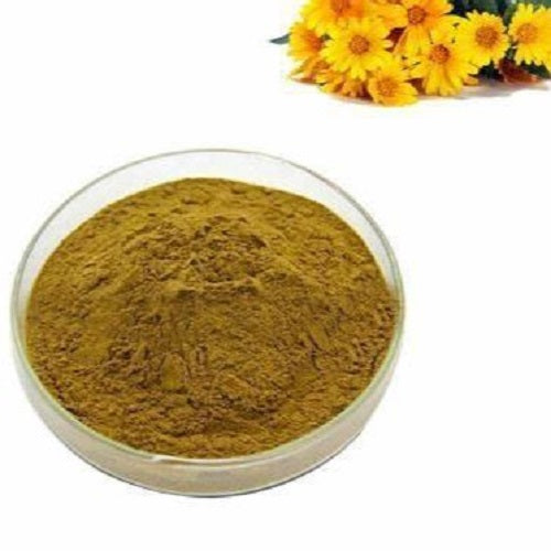 Benefits of Chrysanthemum Extract Powder - Wholesale B2B Bulk Suppliers in USA