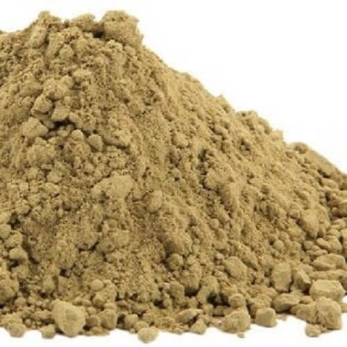 Benefits of Cnidium Extract Powder - Wholesale B2B Bulk Suppliers in USA