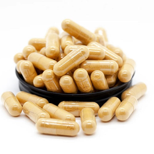 Benefits Of Cordyceps Capsules - Wholesale B2B Bulk Suppliers