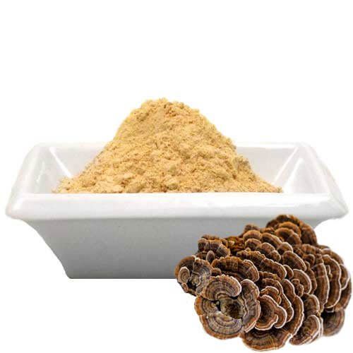 Coriolus Mushroom powder: Top benefits of Coriolus Mushroom powder