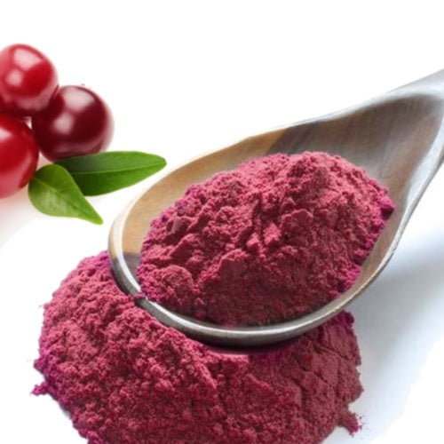 Benefits of Cranberry Juice Powder - Wholesale B2B Bulk Suppliers in Europe