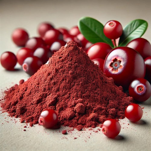Benefits of Cranberry Extract Powder - Wholesale B2B Bulk Suppliers