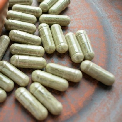 Benefits Of Devil’s Claw Capsules - Wholesale B2B Bulk Suppliers