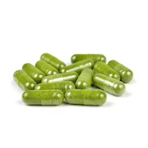 Benefits Of Drumstick Capsules - Wholesale B2B Bulk Suppliers