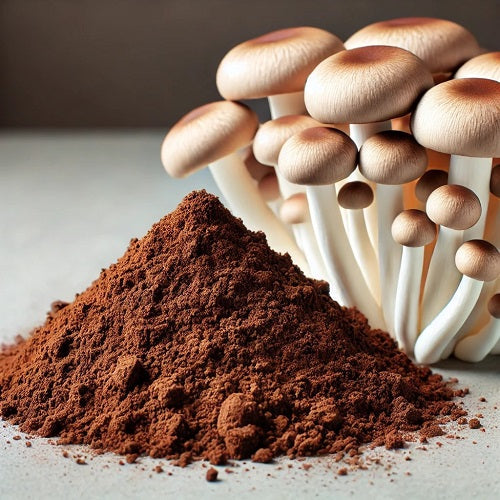 Benefits of Enoki Mushroom Extract Powder - Wholesale B2B Bulk Suppliers in Europe