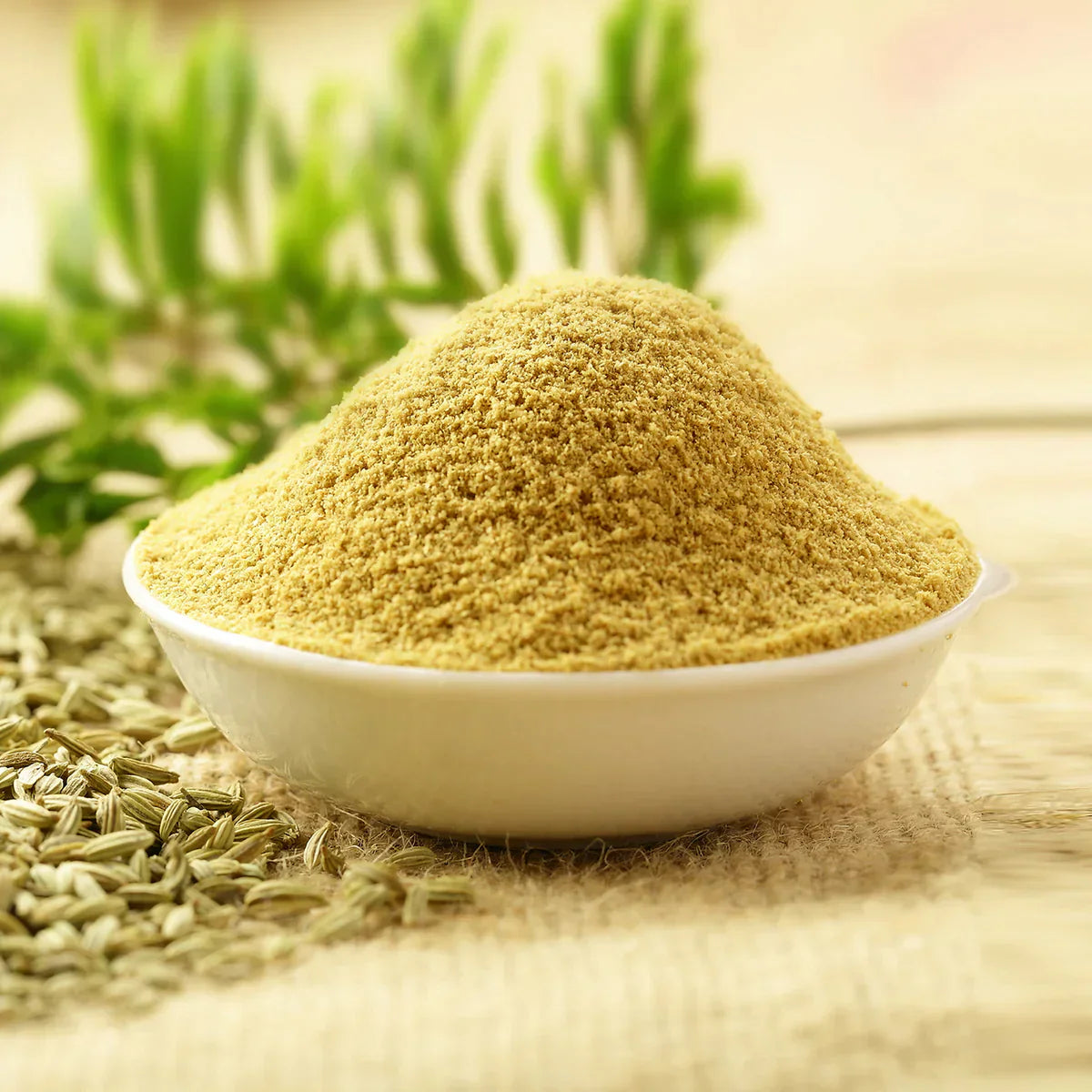 Benefits of Fennel Seed Powder - Wholesale B2B Bulk Suppliers