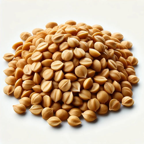 Benefits of Fenugreek Seeds - Wholesale B2B Bulk Suppliers in Europe