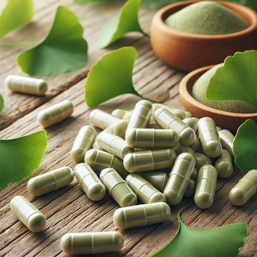 Benefits Of Ginkgo Biloba Capsules - Wholesale B2B Bulk Suppliers
