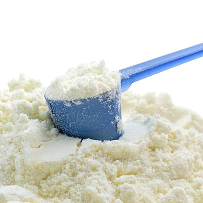Benefits of Full Cream goat Milk Powder - Wholesale B2B Bulk Suppliers in USA