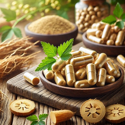 Benefits Of Goldenseal Root Capsules - Wholesale B2B Bulk Suppliers