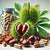 Benefits Of Horse Chestnut Capsules - Wholesale B2B Bulk Suppliers