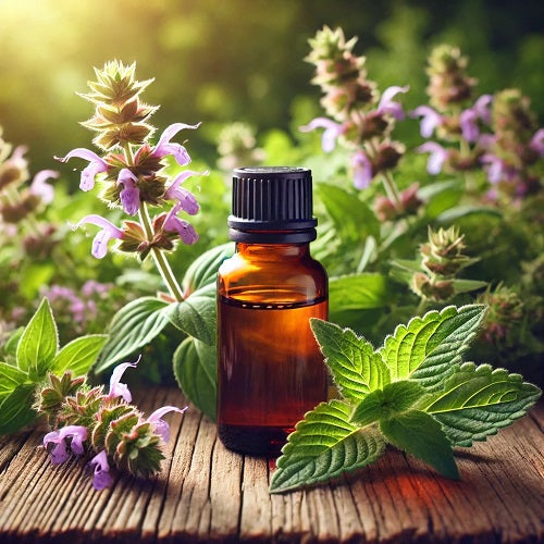 Benefits Of Hyssop Essential Oil - Wholesale B2B Bulk Suppliers