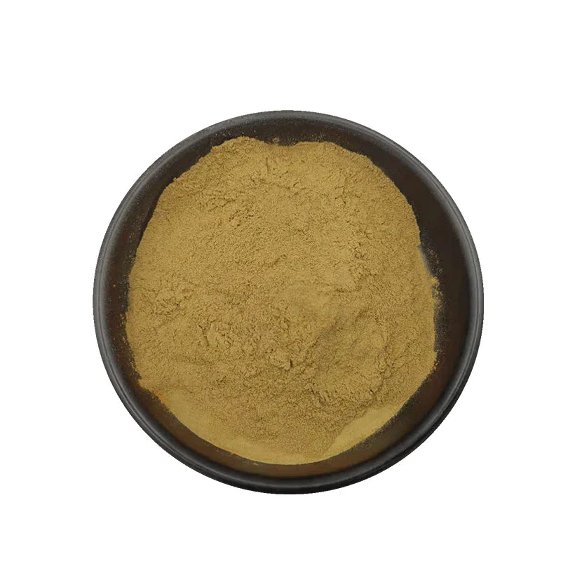 Benifits Of Java Tea Extract Powder - Wholesale B2B Bulk Suppliers in USA