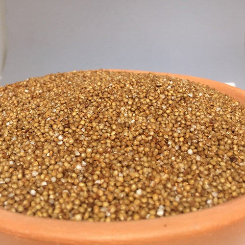 Benefits of Kodo Millet Seeds - Wholesale B2B Bulk Suppliers in Europe