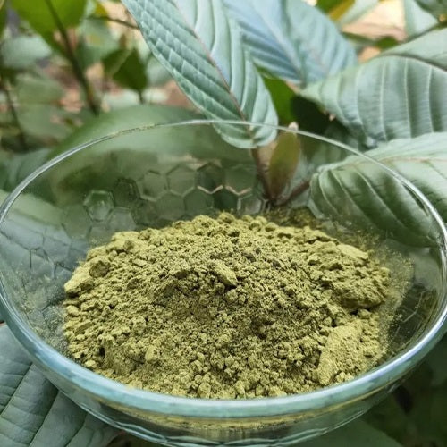 Powdered Kratom Leaf Order Now in USA