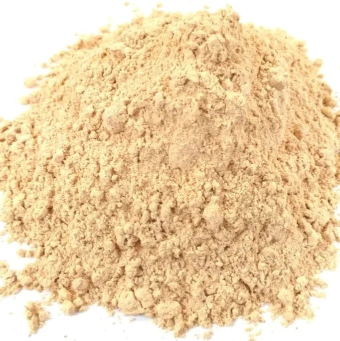 Benefits of Lion's Mane Powder - Wholesale B2B Bulk Suppliers in USA