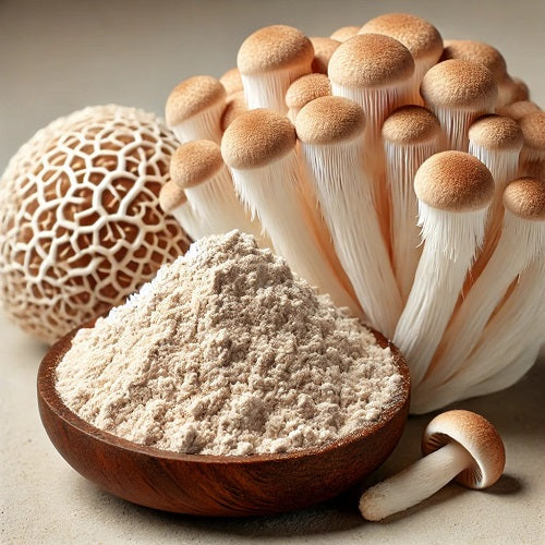 Benefits of Lion's Mane Extract Powder - Wholesale B2B Bulk Suppliers